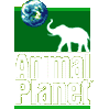 Animal Planet